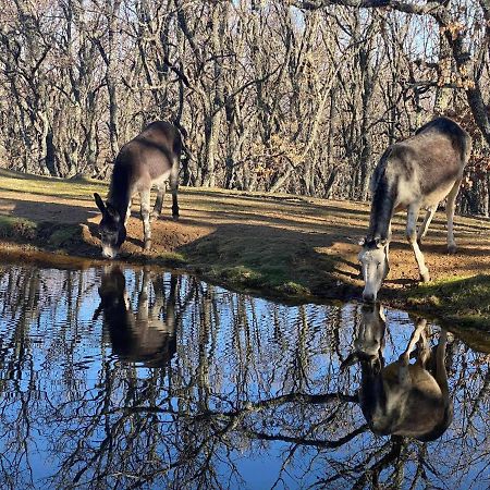 Vistas Espectaculares En Nuestro Apartamento El Ca Cabezas Bajas Eksteriør bilde